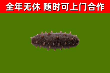 印江县烟酒回收干海参.jpg